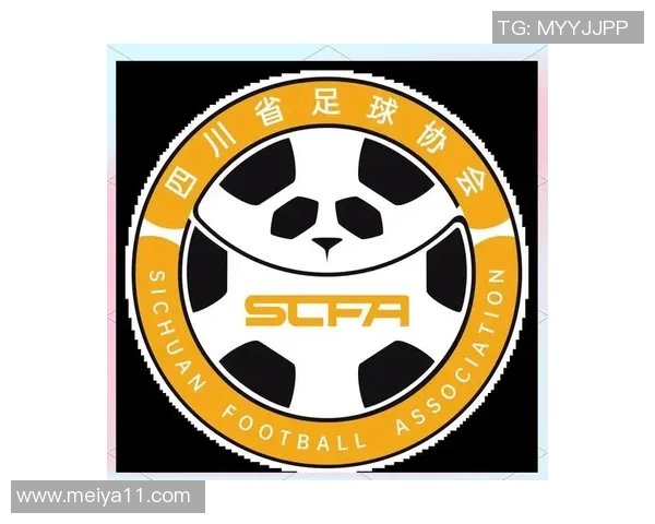 成都足球队实力强劲荣登全国足球实力排行榜第四位