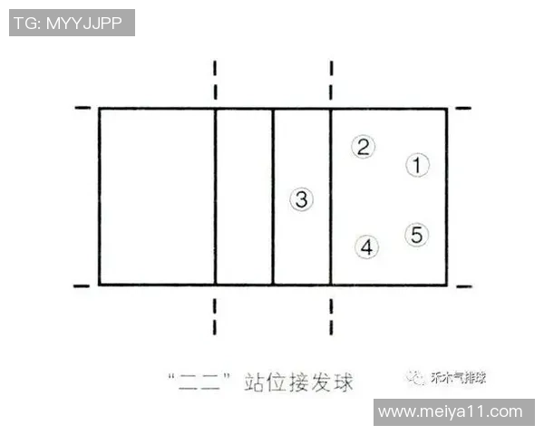 排球新手必看：从零基础到比赛高手的全面入门攻略