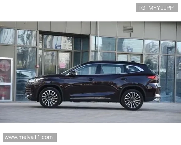 新版足球明星的表现如何值得期待的亮点与不足分析